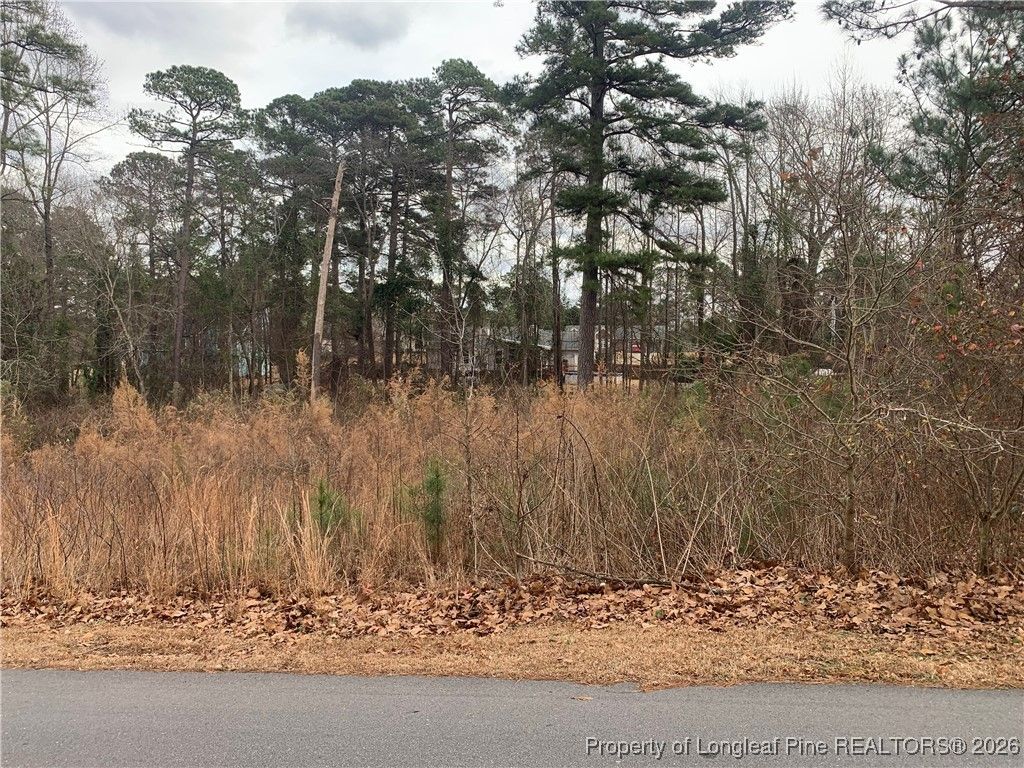 0 brookridge Drive, Cameron, NC 28326 — photo 4