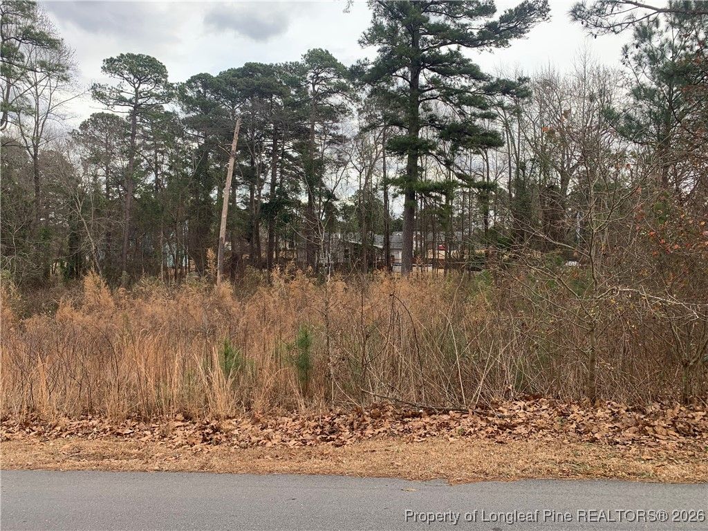 0 brookridge Drive, Cameron, NC 28326 — photo 5