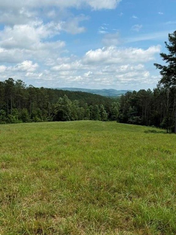 Image 20 of property listing at 1100 Fuller Mountain, Fairmount, GA 30143
