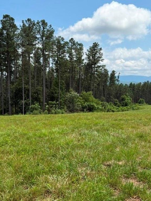 Image 21 of property listing at 1100 Fuller Mountain, Fairmount, GA 30143