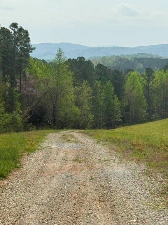 Image 23 of property listing at 1100 Fuller Mountain, Fairmount, GA 30143