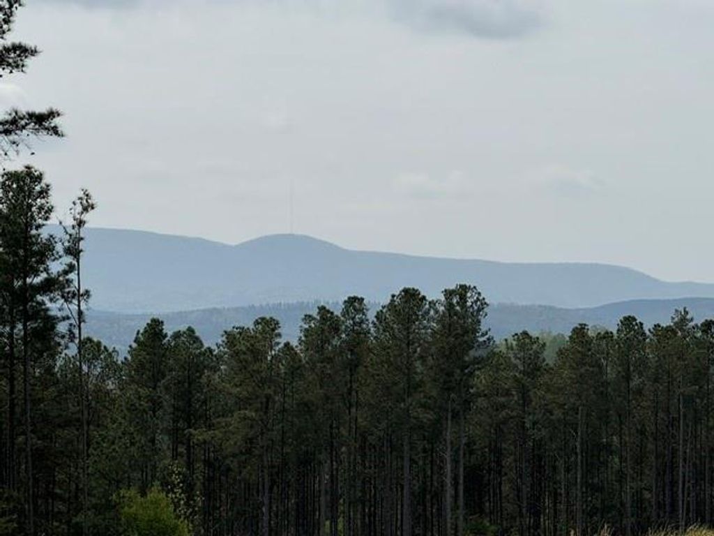 Image 24 of property listing at 1100 Fuller Mountain, Fairmount, GA 30143