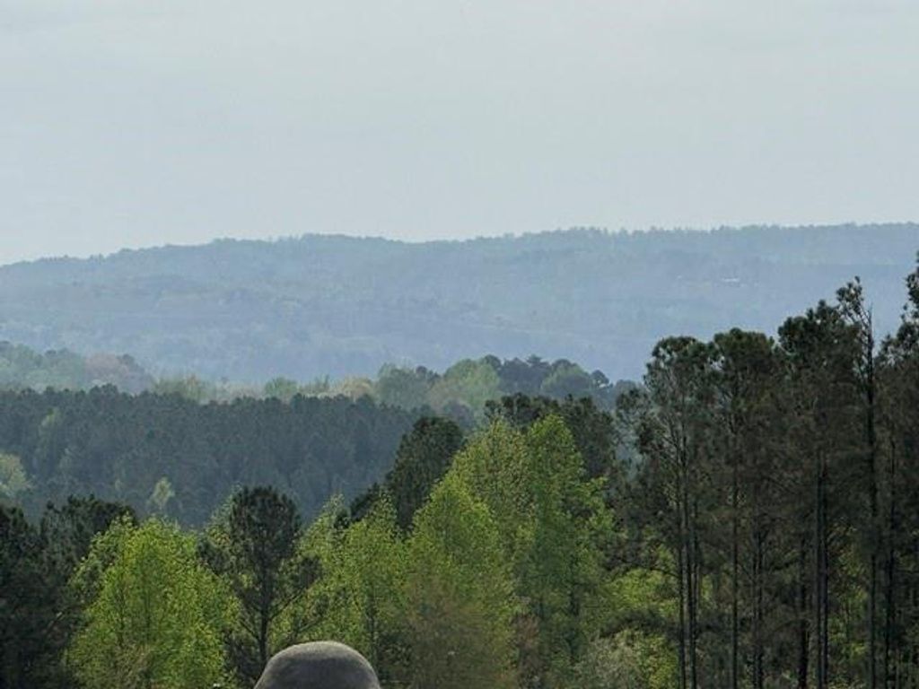 Image 3 of property listing at 1100 Fuller Mountain, Fairmount, GA 30143