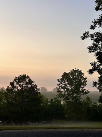 23186 Dewight Stone Avenue, Florala, AL 36442