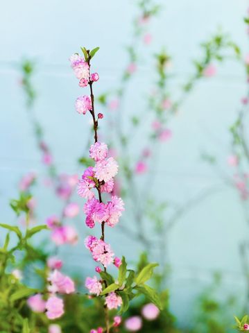 23186 Dewight Stone Avenue, Florala, AL 36442