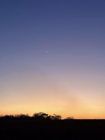 23186 Dewight Stone Avenue, Florala, AL 36442