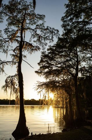 23186 Dewight Stone Avenue, Florala, AL 36442