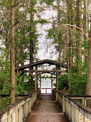 23186 Dewight Stone Avenue, Florala, AL 36442