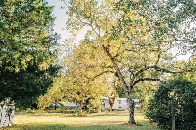 23186 Dewight Stone Avenue, Florala, AL 36442