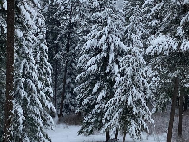 12112 E BURNETT Rd, Mead, WA 99021