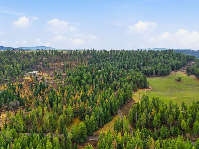 12112 E BURNETT Rd, Mead, WA 99021