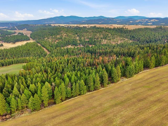 12112 E BURNETT Rd, Mead, WA 99021