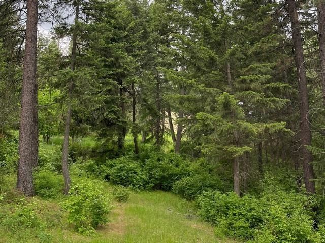 12112 E BURNETT Rd, Mead, WA 99021