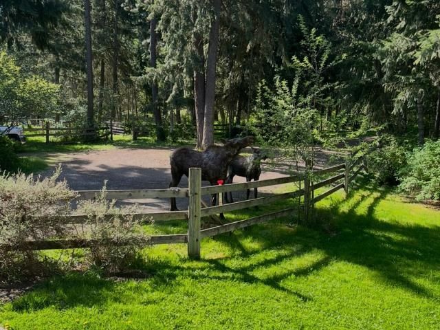 12112 E BURNETT Rd, Mead, WA 99021