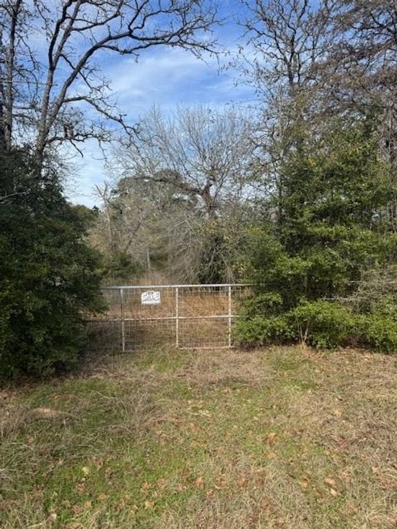 Lot 95 Travis RD, Paige, TX 78659