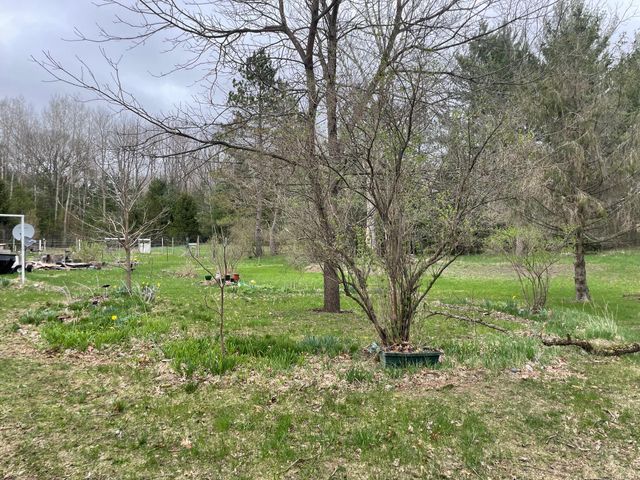 16206 Peters Farm Road, Norman Twp, MI 49644