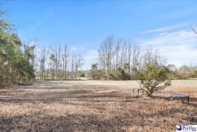 3981 Oates Hwy, Lamar, SC 29069