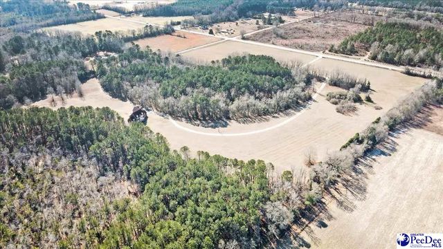 3981 Oates Hwy, Lamar, SC 29069