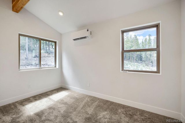 145 Spruce, Alma, CO 80420