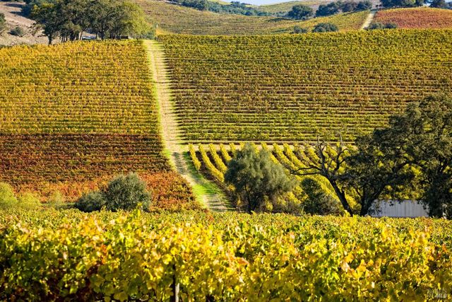 2399 Sobre Vista Rd, Sonoma, CA 95476