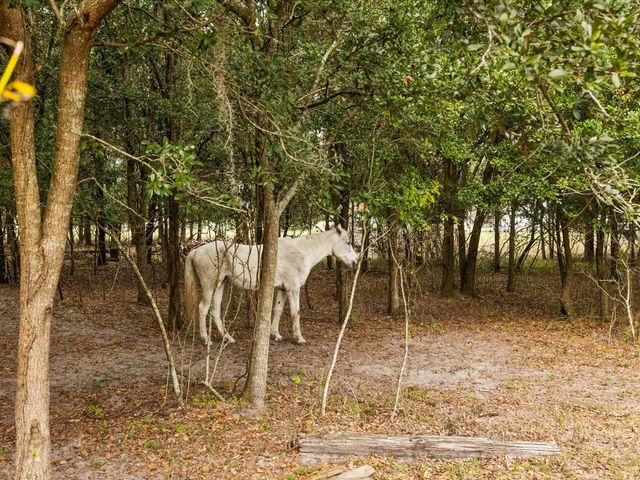 5235 POND VIEW COURT, Zephyrhills, FL 33541