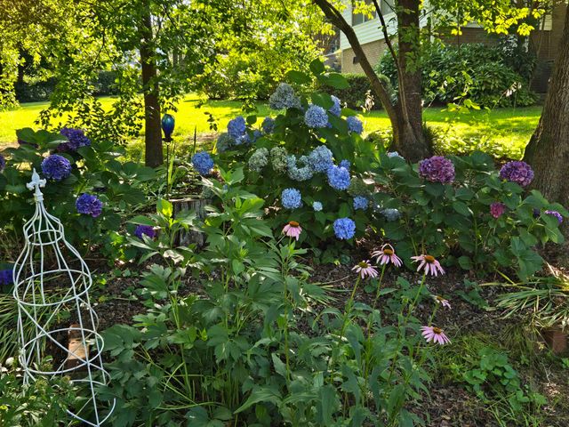 332 St James Drive, Spartanburg, SC 29301