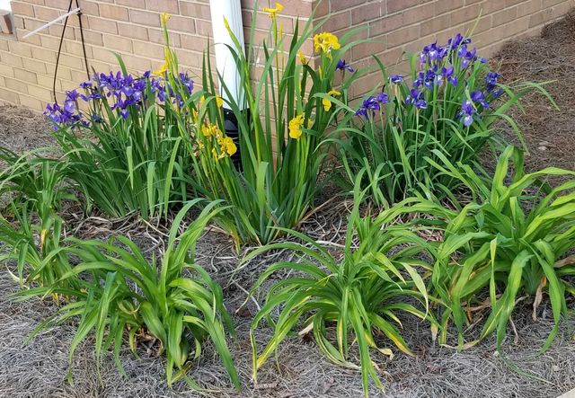 332 St James Drive, Spartanburg, SC 29301