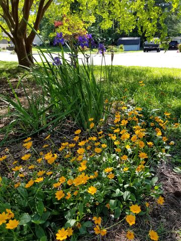 332 St James Drive, Spartanburg, SC 29301