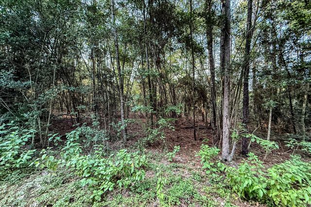 3 Acres Sky Oak Lane, Huntsville, TX 77340