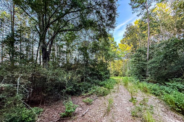 3 Acres Sky Oak Lane, Huntsville, TX 77340