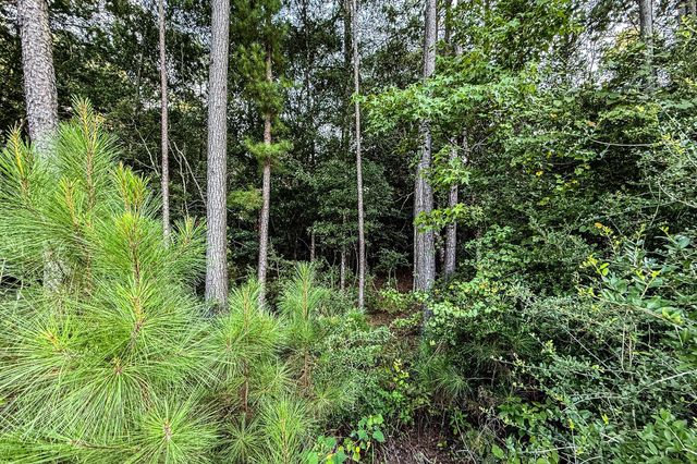 3 Acres Sky Oak Lane, Huntsville, TX 77340