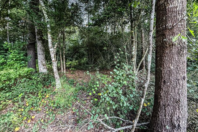3 Acres Sky Oak Lane, Huntsville, TX 77340