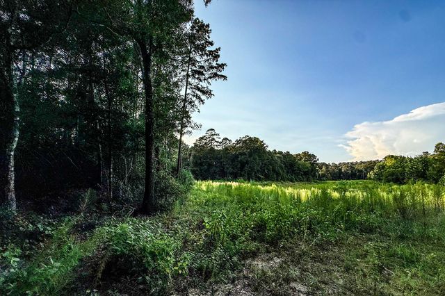 3 Acres Sky Oak Lane, Huntsville, TX 77340