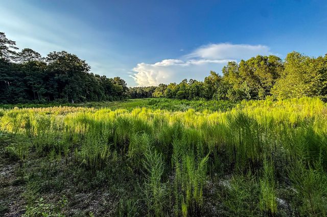 3 Acres Sky Oak Lane, Huntsville, TX 77340