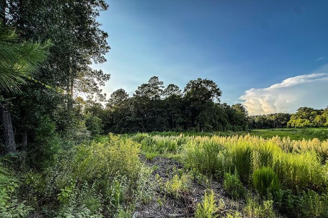 3 Acres Sky Oak Lane, Huntsville, TX 77340