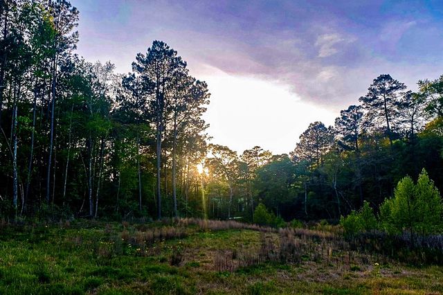 3 Acres Sky Oak Lane, Huntsville, TX 77340