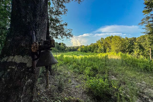 3 Acres Sky Oak Lane, Huntsville, TX 77340