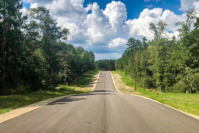 3 Acres Sky Oak Lane, Huntsville, TX 77340