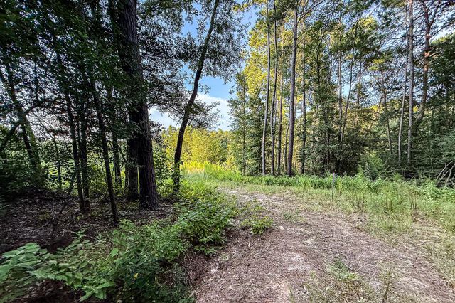 3 Acres Sky Oak Lane, Huntsville, TX 77340