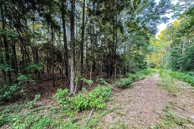 3 Acres Sky Oak Lane, Huntsville, TX 77340