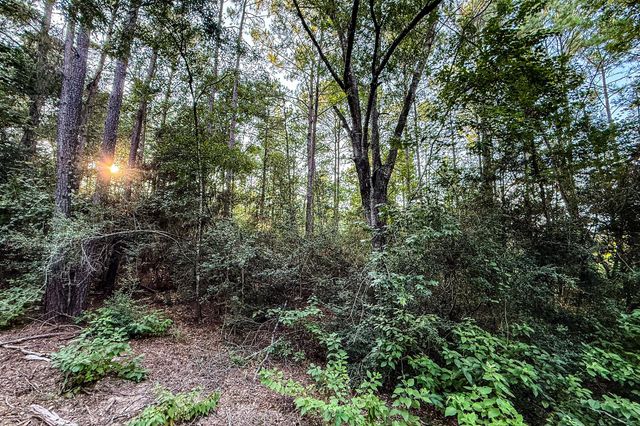 3 Acres Sky Oak Lane, Huntsville, TX 77340