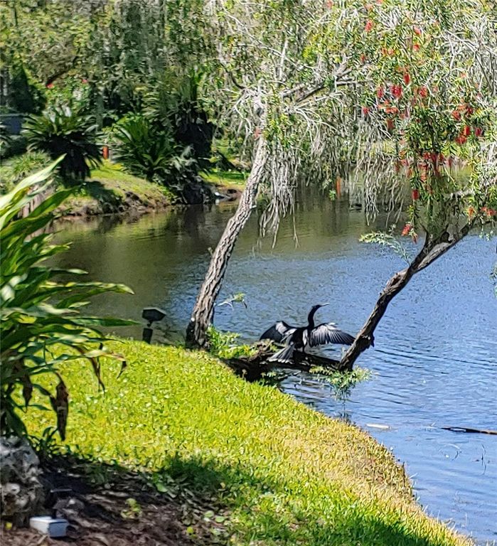 Image 52 of property listing at 6101 34TH STREET W 31H, Bradenton, FL 34210