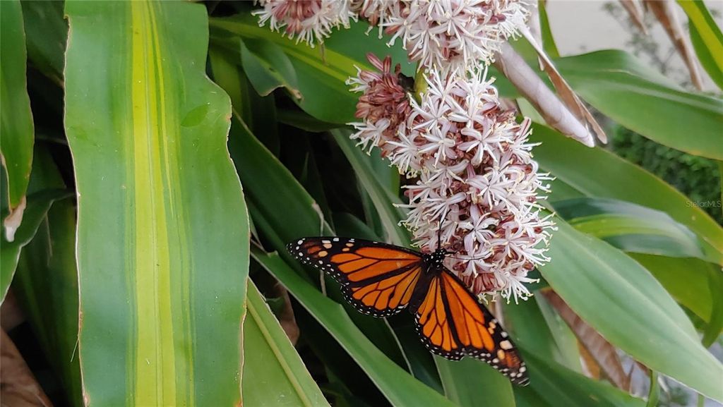 Image 54 of property listing at 6101 34TH STREET W 31H, Bradenton, FL 34210