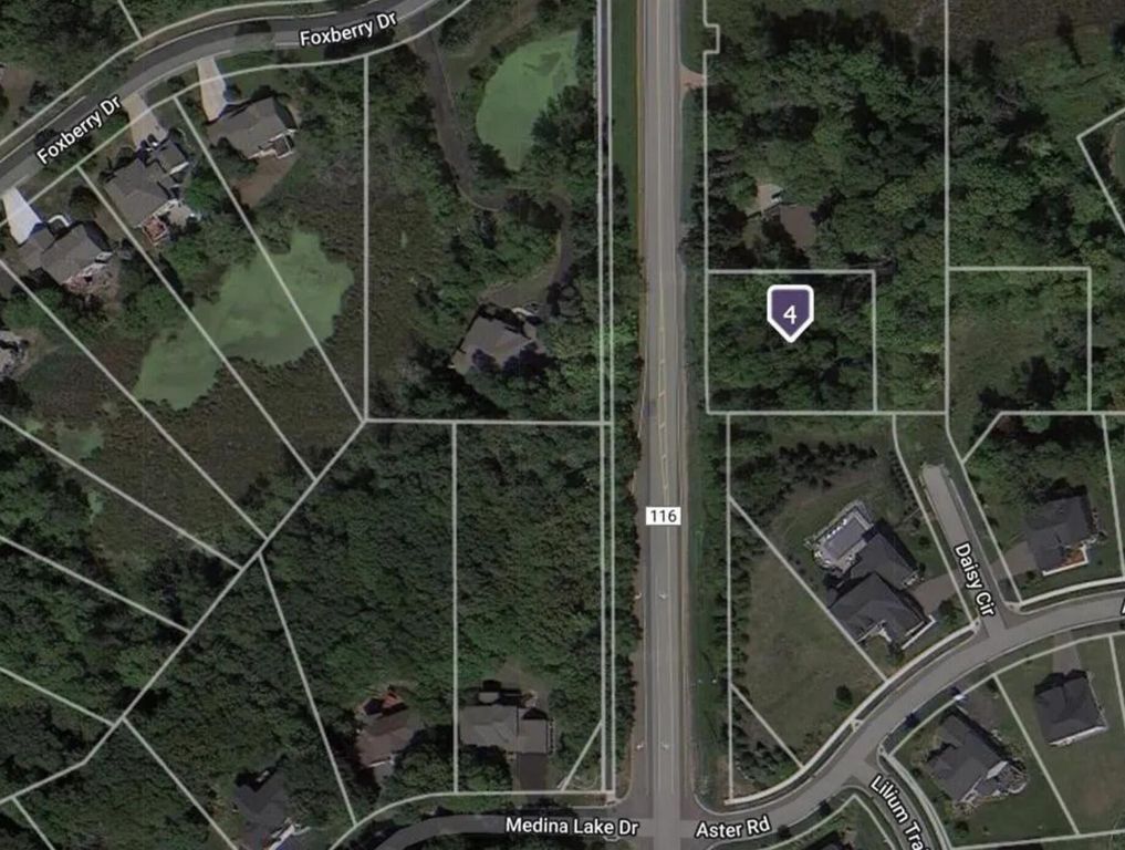 4612 County Road 116, Medina, MN 55340 — photo 4