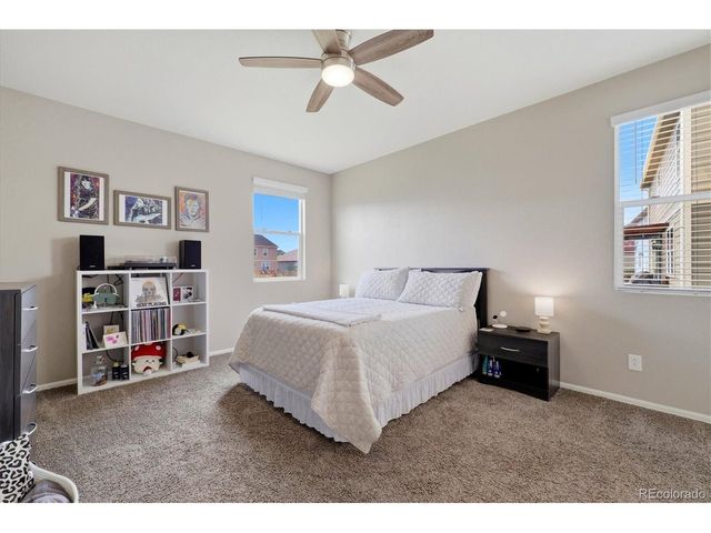 326 Jay Ave, Windsor, CO 80550