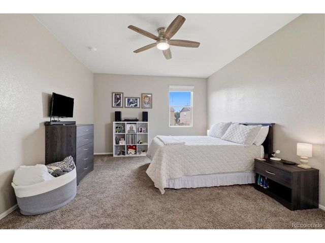 326 Jay Ave, Windsor, CO 80550
