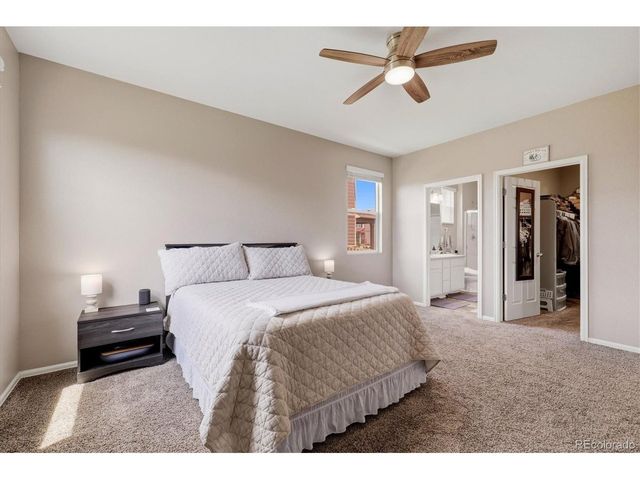 326 Jay Ave, Windsor, CO 80550