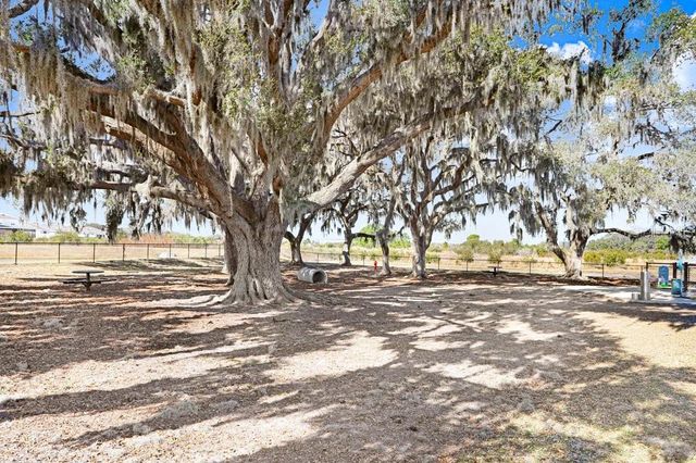 11099 RADIANT SHORE LOOP, San Antonio, FL 33576