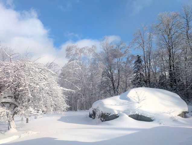 1422 Cabot Road, Woodbury, VT 05681