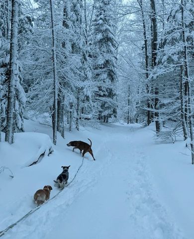 1422 Cabot Road, Woodbury, VT 05681